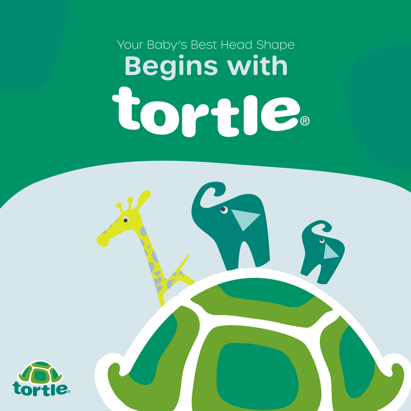 Tortle Corrective Beanies